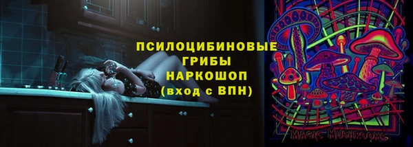 СК Инсар
