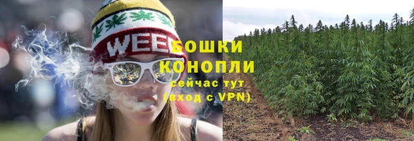 MESCALINE Инта