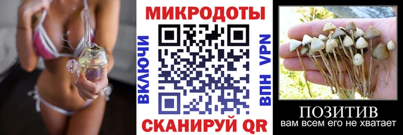 Купить где  Ивангород  Псилоцибиновые грибы Psilocybe 